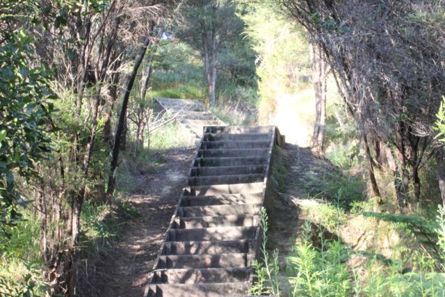 Stairs on the Kauri Loop Trail